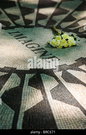 Weiße Rosen auf "Imagine" - John Lennon Memorial Mosaik in Strawberry Fields im Central Park in New York City USA platziert Stockfoto