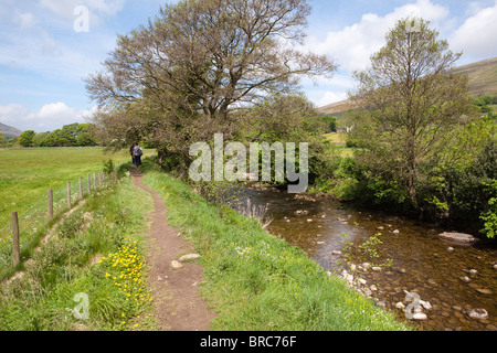 Frühling im Dentdale in Yorkshire Dales National Park - Wanderer neben den Fluss Dee nahe dem Dorf von Dent, Cumbria. Stockfoto