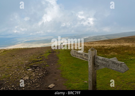 Pennine Way unterzeichnen auf dem Fußweg auf dem Gipfel von Pen-y-Gent. North Yorkshire. Yorkshire Dales National Park Stockfoto