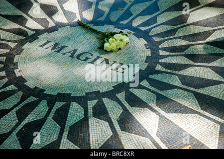 Weiße Rosen auf "Imagine" - John Lennon Memorial Mosaik in Strawberry Fields im Central Park in New York City USA platziert Stockfoto