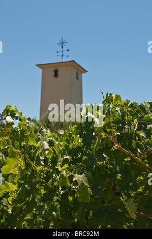 Blick auf die Weinberge von der Robert Mondavi Winery, Napa Valley, Kalifornien, USA Stockfoto