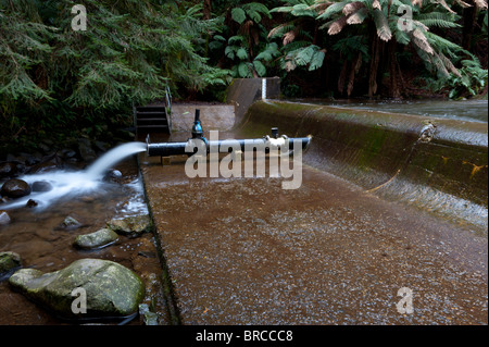 Ein Rohr, überschüssiges Wasser von Badger Creek Wehr nach Starkregen Victoria Australien freigeben. Stockfoto