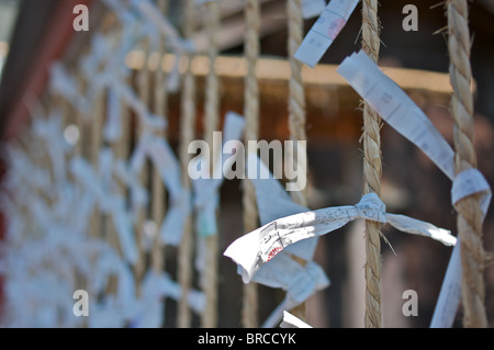 Omikuji werden verwendet, um Glück oder Pech zu vermeiden.  Sie sind geschrieben und auf Ästen oder Seile gebunden. Stockfoto