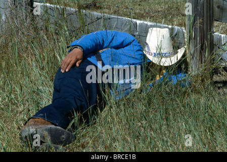 Cowboy schlafen im Grass gegen Zaun Stockfoto