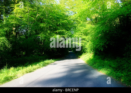 Stradbally, Co. Waterford, Irland Stockfoto