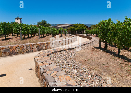 Blick auf die Weinberge von der Robert Mondavi Winery, Napa Valley, Kalifornien, USA Stockfoto