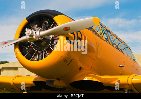 Nahaufnahme von einer amerikanischen Weltkrieg zwei Flugzeuge, ein Harvard Texaner T6. Stockfoto