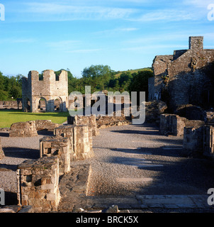 Mellifont Abbey, Co Louth, Irland; Abtei aus dem 12. Jahrhundert Stockfoto