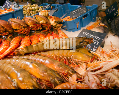 Fischen Sie auf dem Display an der indoor frische Lebensmittel-Markt in St Martin de Re auf der Ile de Ré an der atlantischen Küste von Frankreich Stockfoto