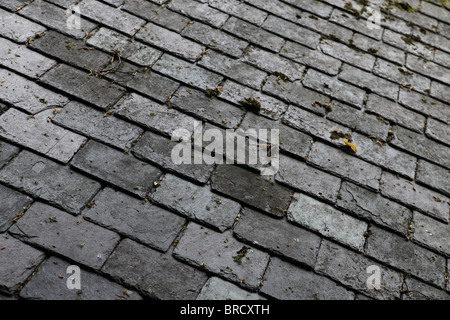 Schieferfliesen bilden das Dach eines Hauses. Stockfoto