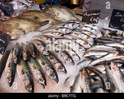 Fischen Sie auf dem Display an der indoor frische Lebensmittel-Markt in St Martin de Re auf der Ile de Ré an der atlantischen Küste von Frankreich Stockfoto