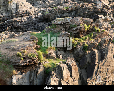 Croyde Bucht an der Nordküste Devon - der Blick aus den Fußweg zu baggy Punkt Stockfoto