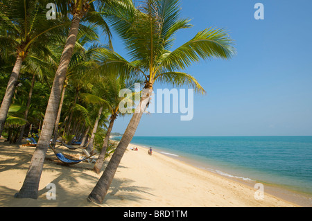 Mae Nam Beach, Ko Samui, Thailand Stockfoto