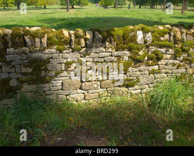 eine Trockenmauer gebaut wird repariert Stockfoto