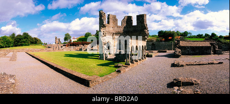 Mellifont Abbey, County Louth, Irland Stockfoto