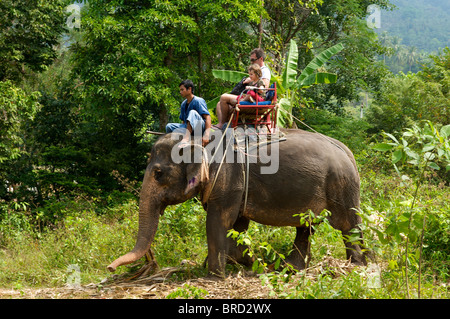 Elefanten reiten, Ko Samui Island, Thailand Stockfoto