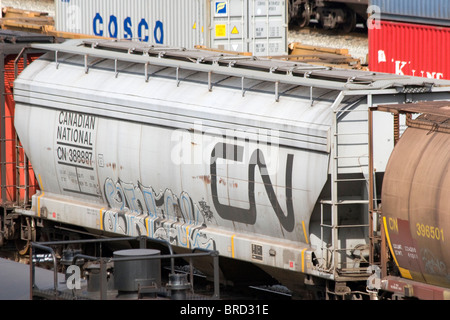 Kanadische nationale Güterwagen in Canadian Pacific Rangierbahnhofs in Port Coquitlam Vancouver BC British Columbia Kanada Stockfoto