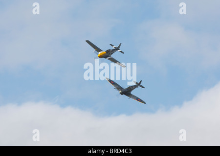 Ein P51D Mustang und ein Super Marine Mk IXB Spitfire in engen formation Stockfoto