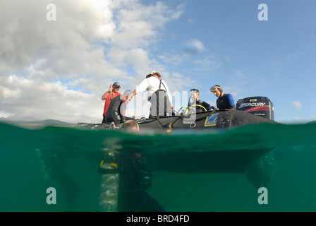 Gruppe von Tauchern im Wasser und am Boot, (Split Schuss halb Unterwasser), Ecuador, Galapagos-Archipel, Insel San Cristobal Stockfoto