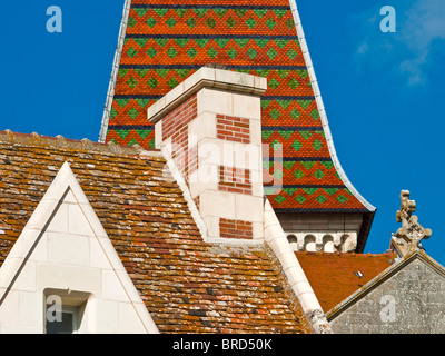 Alten Schornstein und dekorative, geplant und gefliesten Dächer - Frankreich. Stockfoto