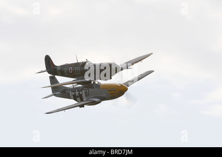 Ein P51D Mustang und ein Super Marine Mk IXB Spitfire in engen formation Stockfoto