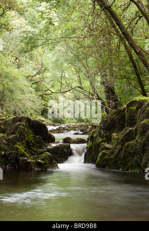 Fluss und leichte Wasserfall in Süd-Wales mit Langzeitbelichtung geschossen. Stockfoto