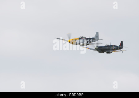 Ein P51D Mustang und ein Super Marine Mk IXB Spitfire in engen formation Stockfoto