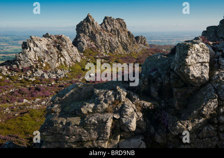 Die Stiperstones sind ein felsiges Felsvorsprung in der Grafschaft Shropshire, England: Phillip Roberts Stockfoto