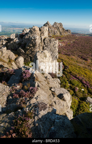 Die Stiperstones sind ein felsiges Felsvorsprung in der Grafschaft Shropshire, England: Phillip Roberts Stockfoto