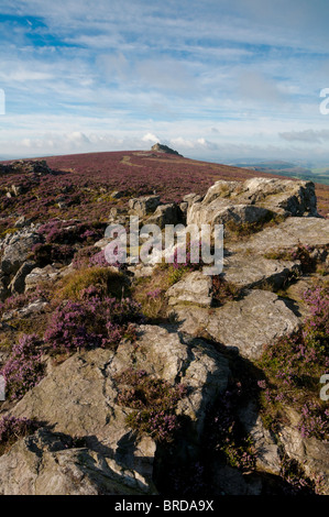 Die Stiperstones sind ein felsiges Felsvorsprung in der Grafschaft Shropshire, England: Phillip Roberts Stockfoto