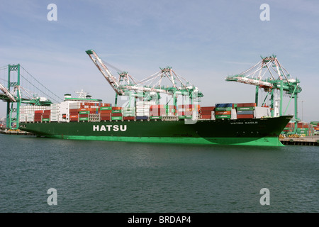 Containerschiff "Hatsu Adler" am Container Liegeplatz. Der Port of Los Angeles USA Stockfoto