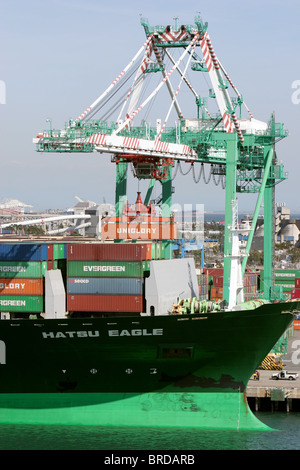 Hatsu Containerschiff "Eagle" am Container Liegeplatz. Der Hafen von Los Angeles USA Stockfoto