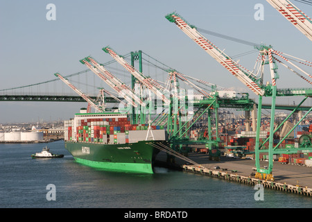 Containerschiff "Hatsu Adler" am Container Liegeplatz. Der Port of Los Angeles USA Stockfoto