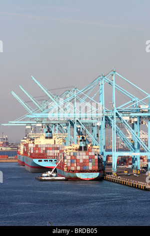 Beschäftigt Container Liegeplätze an Port of Los Angeles USA Stockfoto