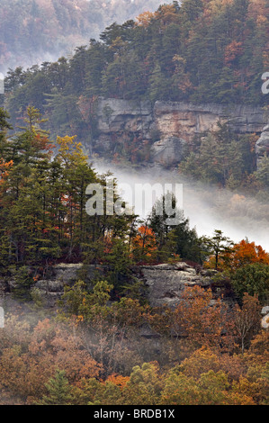 Ansicht der Herbst Farbe an Teufels Canyon Overlook in Red River Gorge, Kentucky Stockfoto