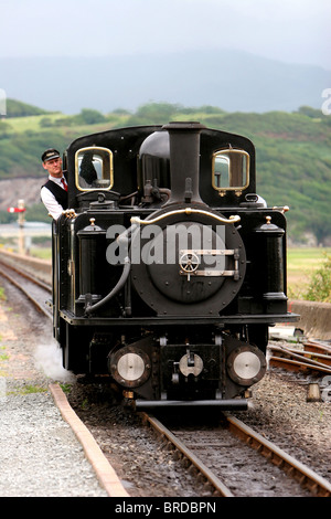 Dampftank Motoren auf der welsh Ffestiniog Bahn ländlichen Zug Service Wales Großbritannien Stockfoto