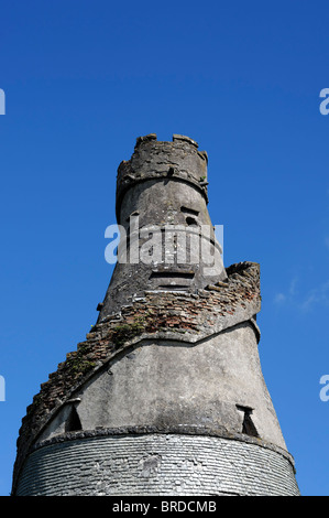 Die wunderbare Scheune Leixlip Kildare Ireland Torheit, spitz zulaufenden Kegel freitragende Treppe anzeigen Galerie georgianische Architektur Stockfoto