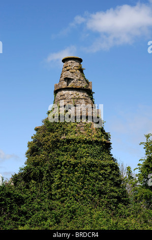 Die wunderbare Scheune Leixlip Kildare Ireland Torheit, spitz zulaufenden Kegel freitragende Treppe anzeigen Galerie georgianische Architektur Stockfoto