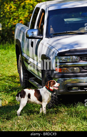 Bretagne stand vor LKW im Harrison County, Indiana Stockfoto