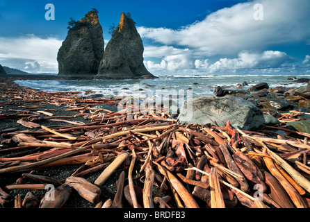 Treibholz und Split Rock. Rialto Beach. Olympic Nationalpark, Washington Stockfoto