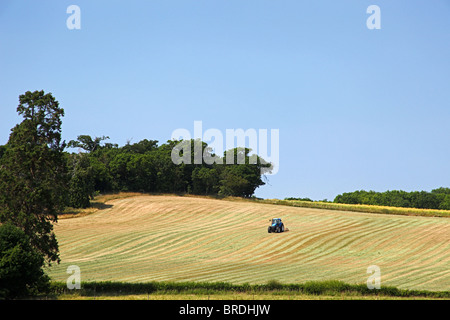 Ein Traktor wird Heu in einem Feld in Cannington Somerset England UK Stockfoto