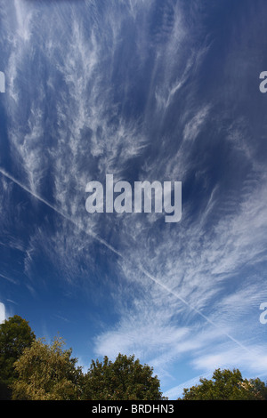 Cirrus Spissatus Wolken hoch über Somerset mit einem Flugzeug Dampf Kondensstreifen Kondensstreifen Stockfoto