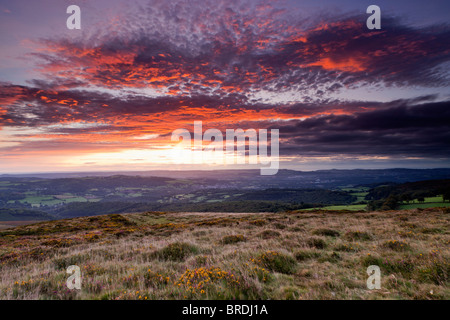 Sonnenaufgang von Haytor Down auf der Suche nach Newton Abbot. Dartmoor-Nationalpark. Stockfoto