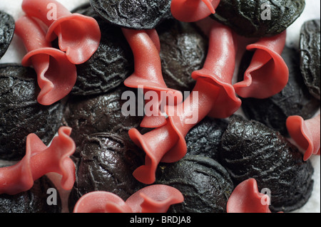 Rote und schwarze Nudeln Stockfoto