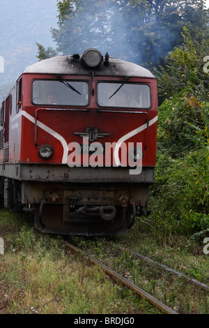 Diesel Lokomotive Serie 77 der bulgarischen Staatsbahn auf der Schmalspur-Linie durch die Rhodopen Stockfoto