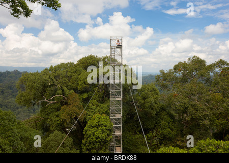 Ulu Temburong National Park, Canopy Walk, Brunei Stockfoto