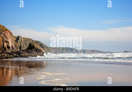 Felsenküste am Nordende von Lunan Bay, Angus, Schottland, Vereinigtes Königreich. Stockfoto