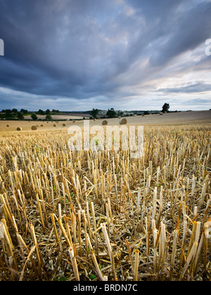 Bails Heu und Stoppeln in einem Feld bei Sonnenuntergang, Warwickshire, England, UK Stockfoto