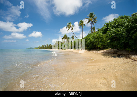 Surf & Wellen auf abgelegenen einsamen Strand, Vieques Puerto Rico Stockfoto