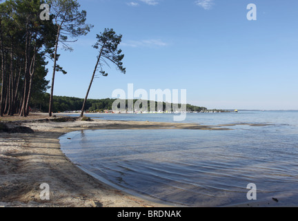 Ufer des Lac de Cazaux et de Sanguinet Frankreich September 2010 Stockfoto